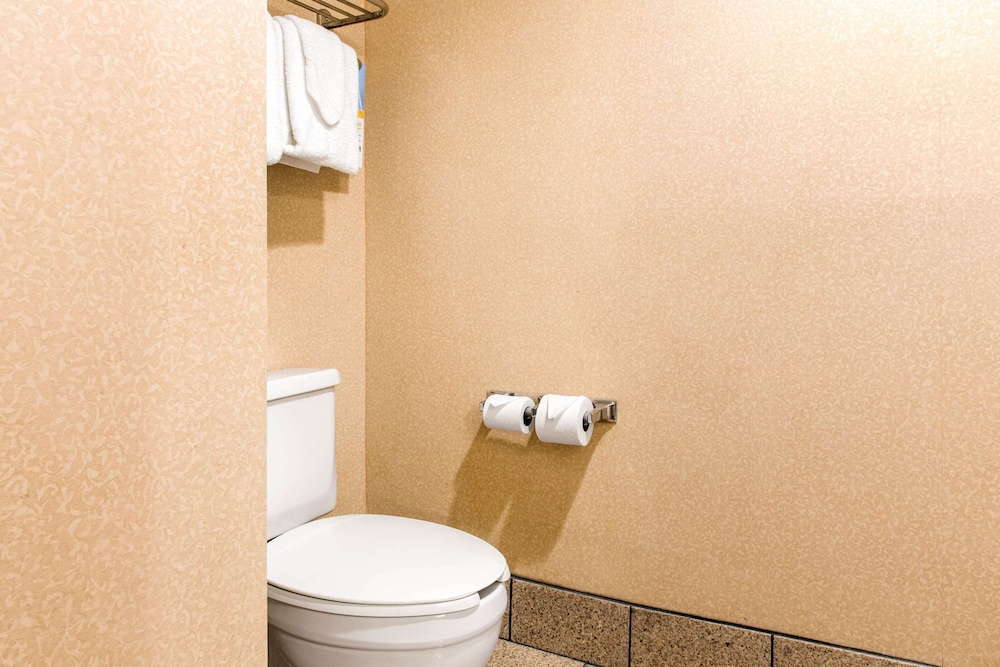 Quality Inn & Suites Miamisburg - photo 26
