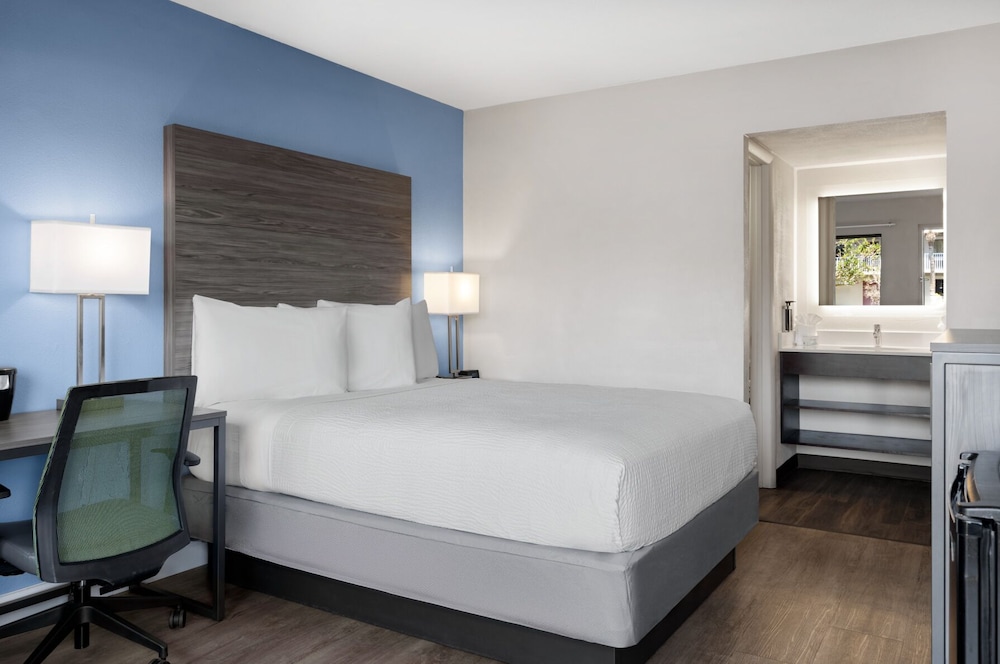 Hotel South Tampa & Suites - photo 12