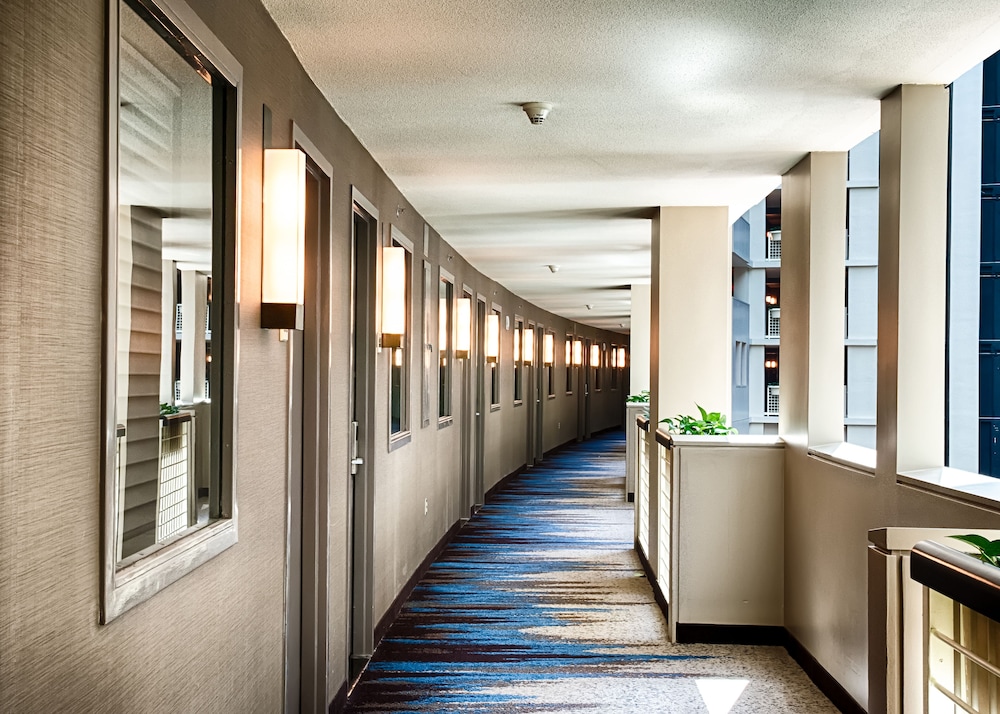 Embassy Suites by Hilton Atlanta at Centennial Olympic Park - photo 63
