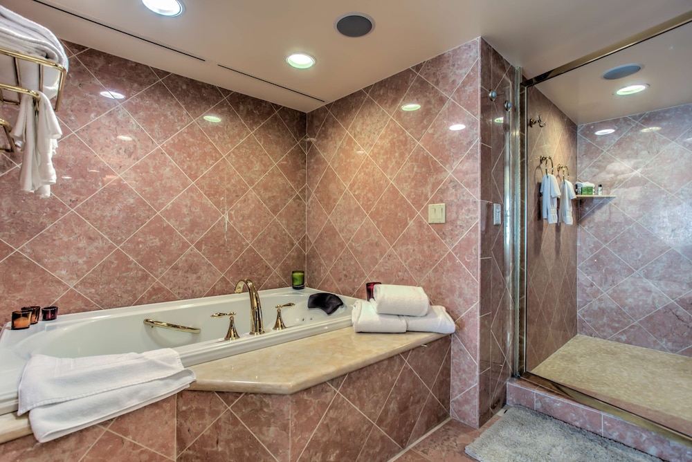 Embassy Suites by Hilton Convention Center Las Vegas - photo 39