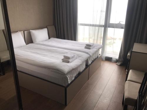 Premium apartment in Porta Batumi Tower