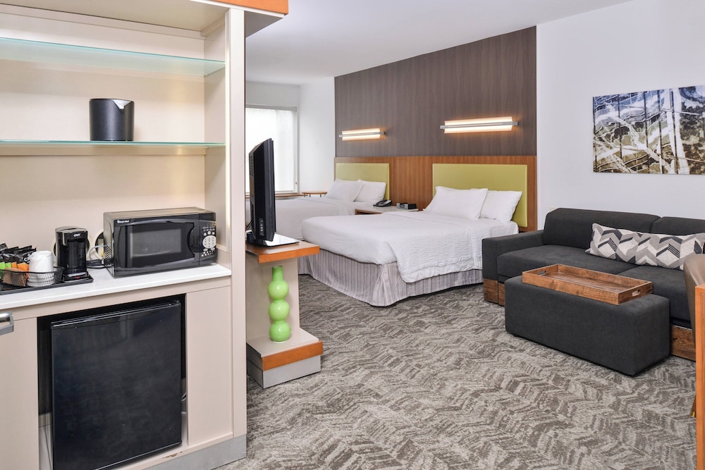 SpringHill Suites by Marriott Ashburn Dulles North - photo 6