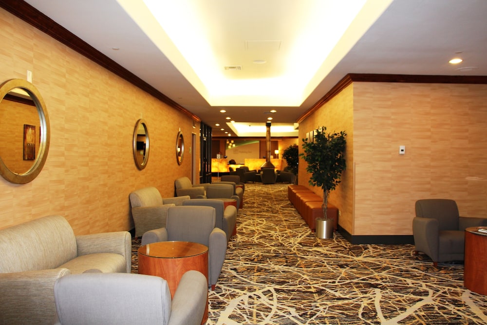 Holiday Inn Denver Lakewood by IHG - photo 48
