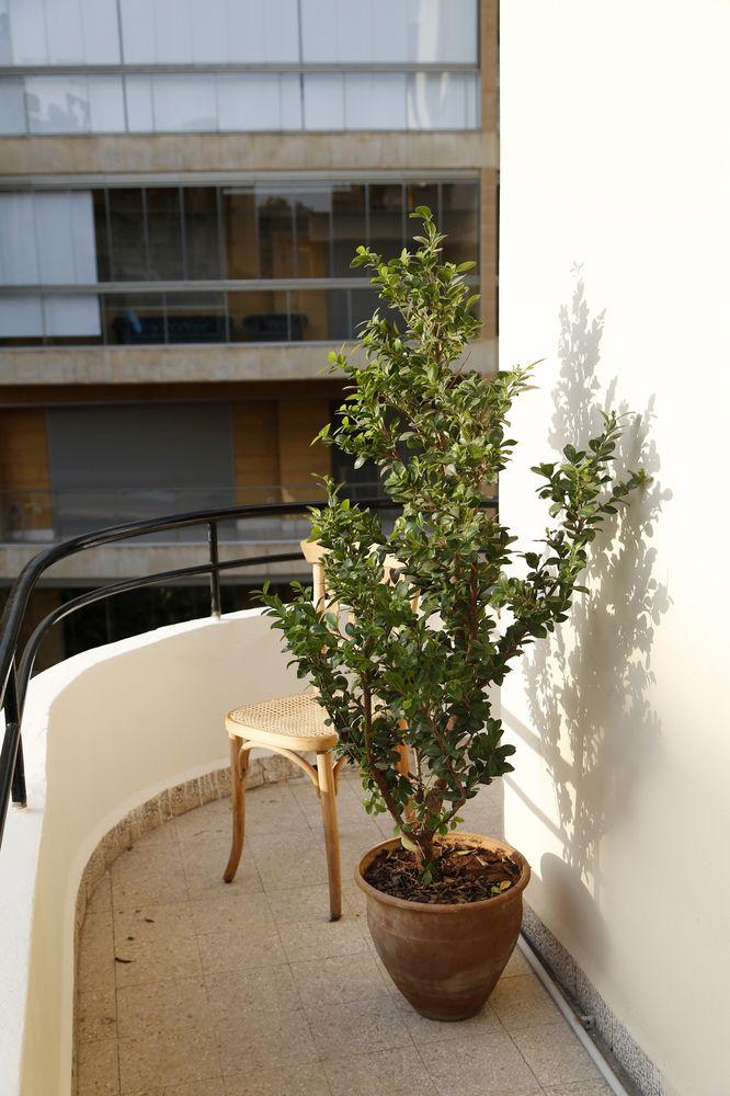 Beyt Amir in Beirut, Lebanon