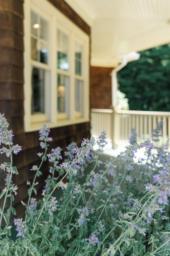 The Sagaponack - photo 35