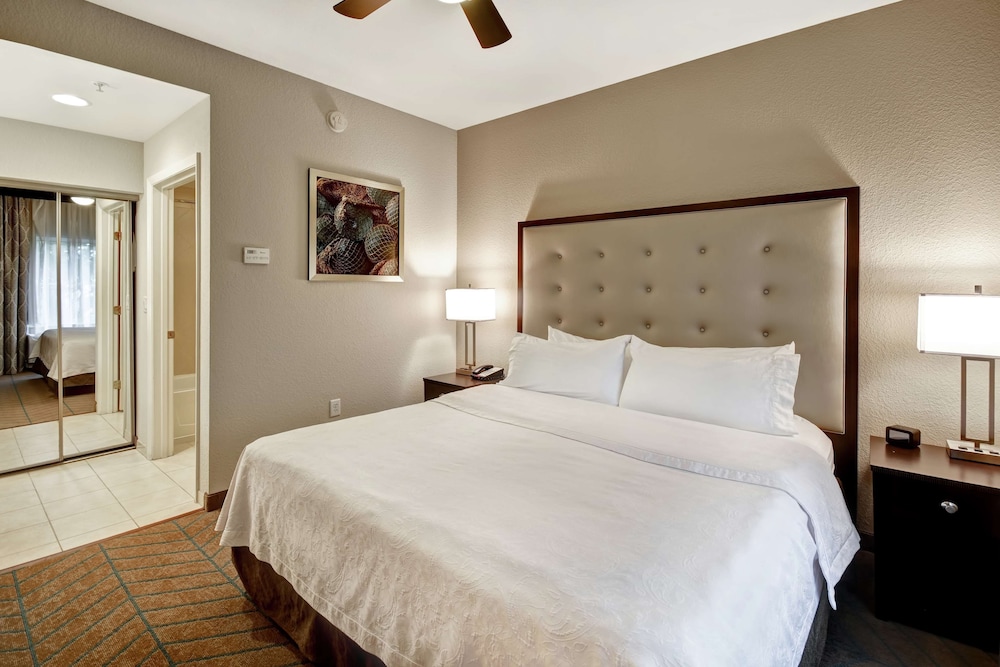 Homewood Suites by Hilton Tampa Port Richey - photo 8