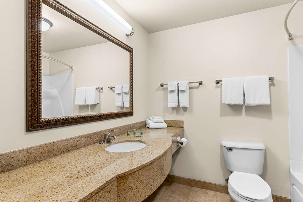 Best Western Legacy Inn & Suites Beloit South Beloit - photo 19