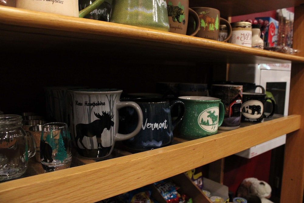 Fireside Inn & Suites West Lebanon - photo 5