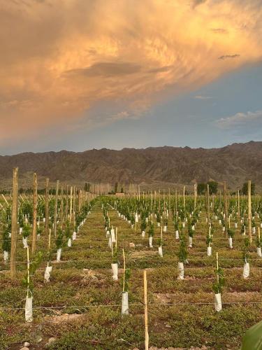 El Refugio - carbon neutral hotel in Calingasta