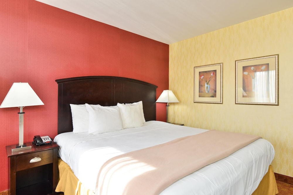 Lex View Inn at JFK Airport - photo 11