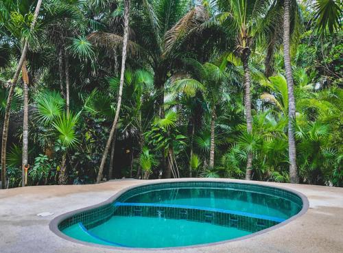 Soliman bay beachfront bungalows - carbon neutral hotel in Tulum