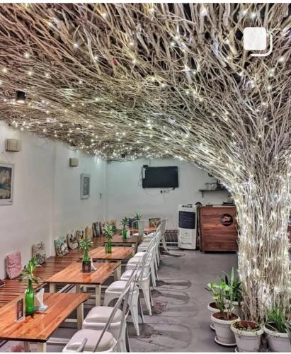 Seed Resort — Shrirangapattana — photo 4