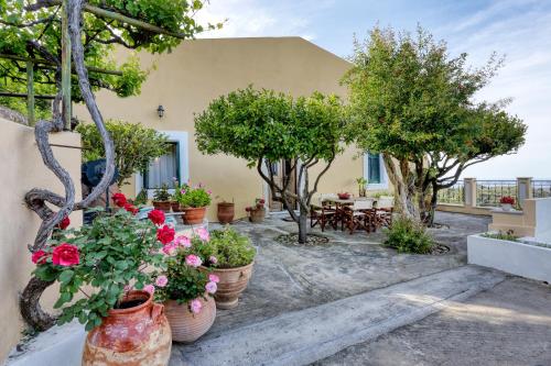 The Cretan Manor - last minute hotel in Unknown City