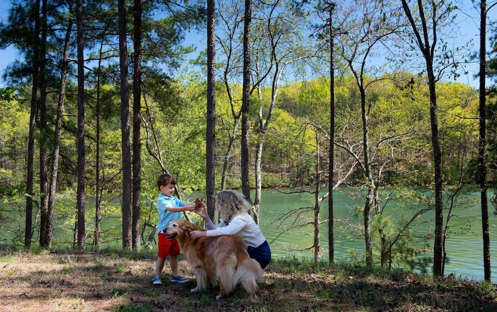 Lanier Islands Legacy Lodge - photo 55