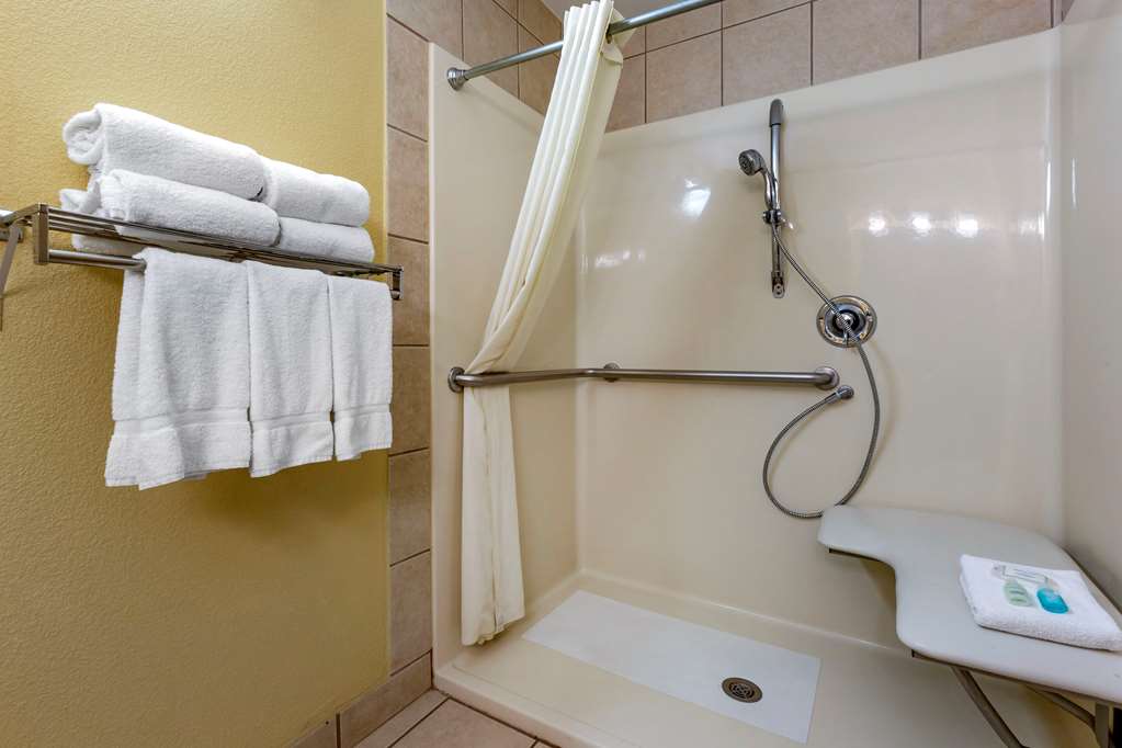Clarion Inn and Suites Roswell NM - photo 13