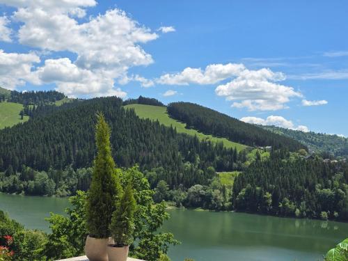 Elira Lake in Buhalnita, Romania