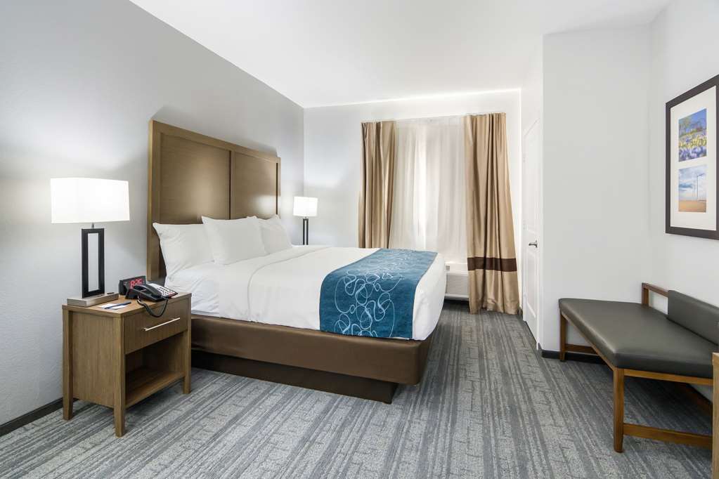 Comfort Suites DeSoto Dallas South - photo 29