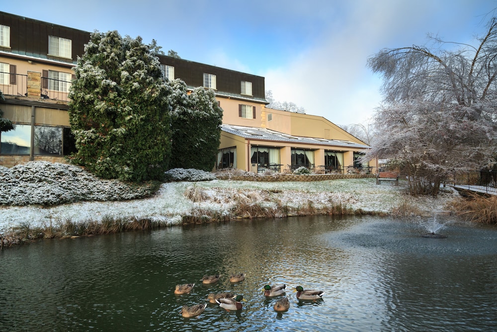 Meadowbrook Inn - photo 51