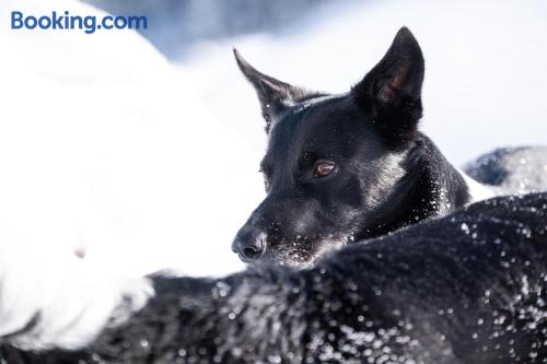Grimming in Rauris, Austria