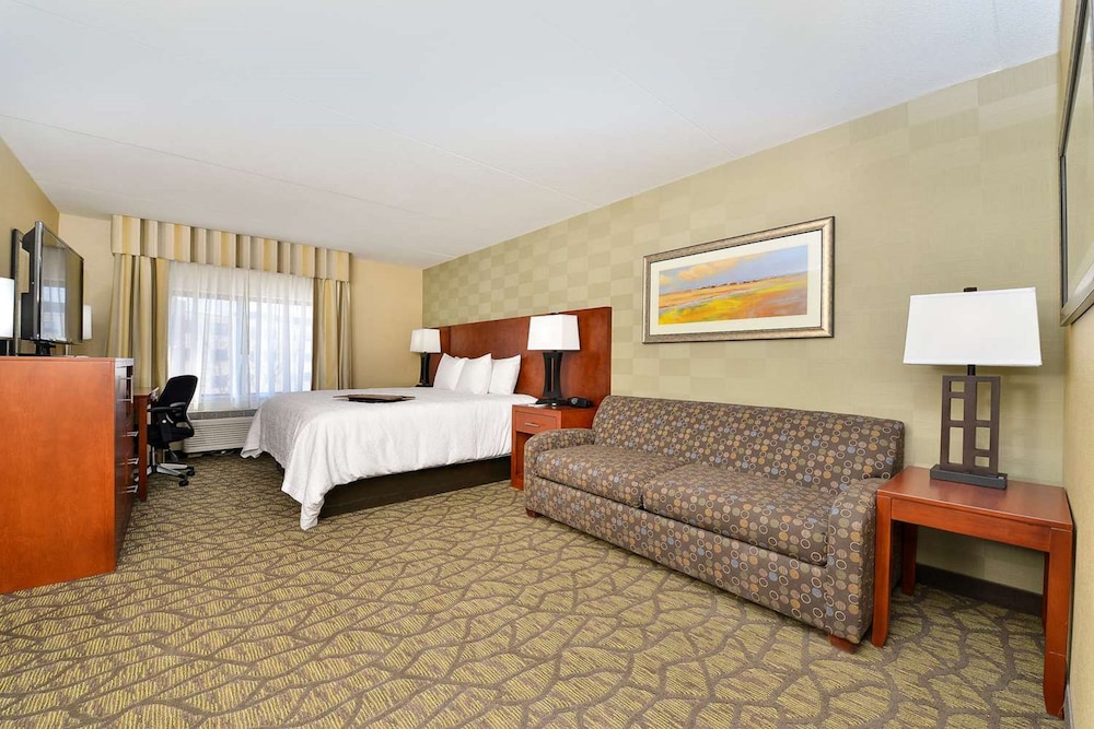 Hampton Inn Detroit Auburn Hills South - photo 11