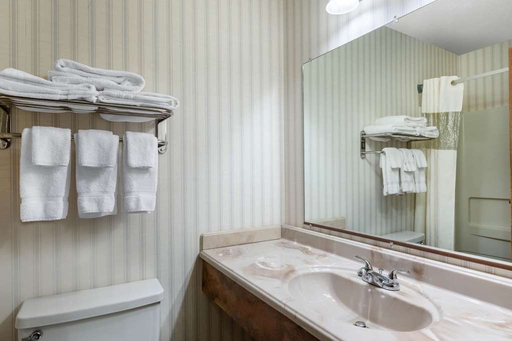 Baymont by Wyndham Spearfish - photo 16