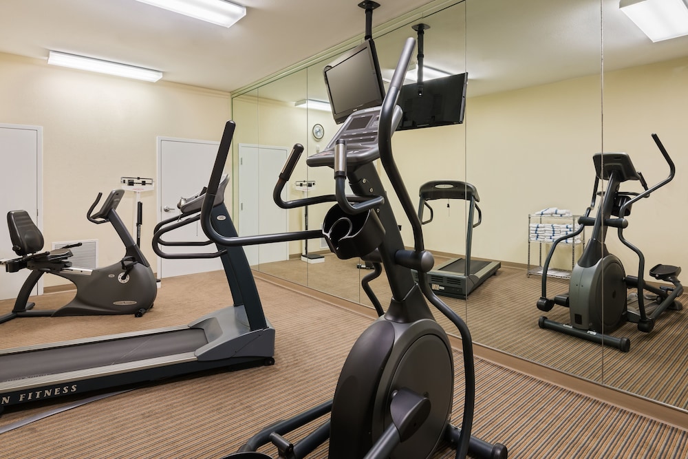 Holiday Inn Express Hotel & Suites New Iberia Avery Island by IHG - photo 19