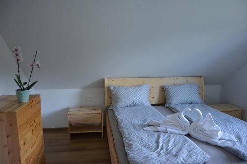 Apartma Rebeka in Zgornje Gorje, Slovenia