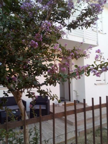 The judas trees — carbon neutral stay, Mestre