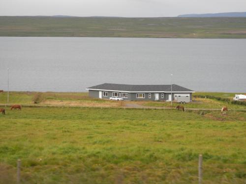 Guesthouse 46