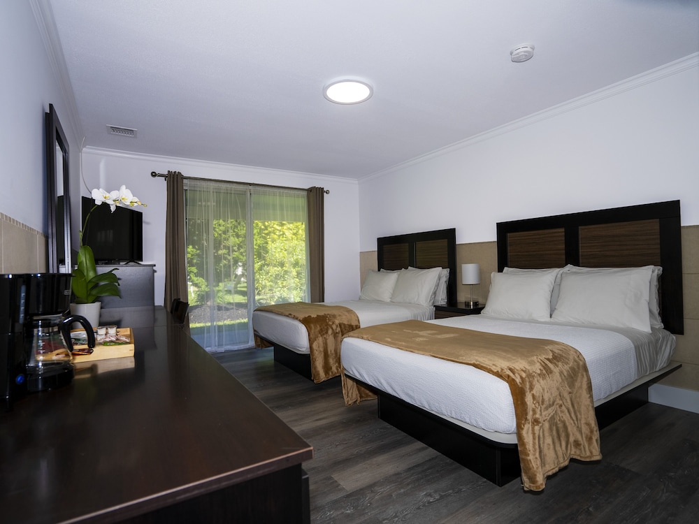 Hampton's Vacation Inn - photo 46
