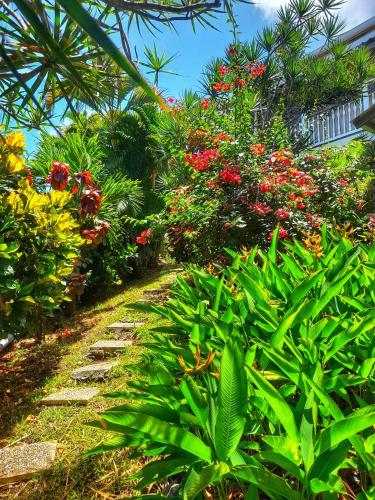Appartement Papay dans Villa Fleurs des Iles — 4-Star Luxury Hotel in Le Vauclin, Martinique