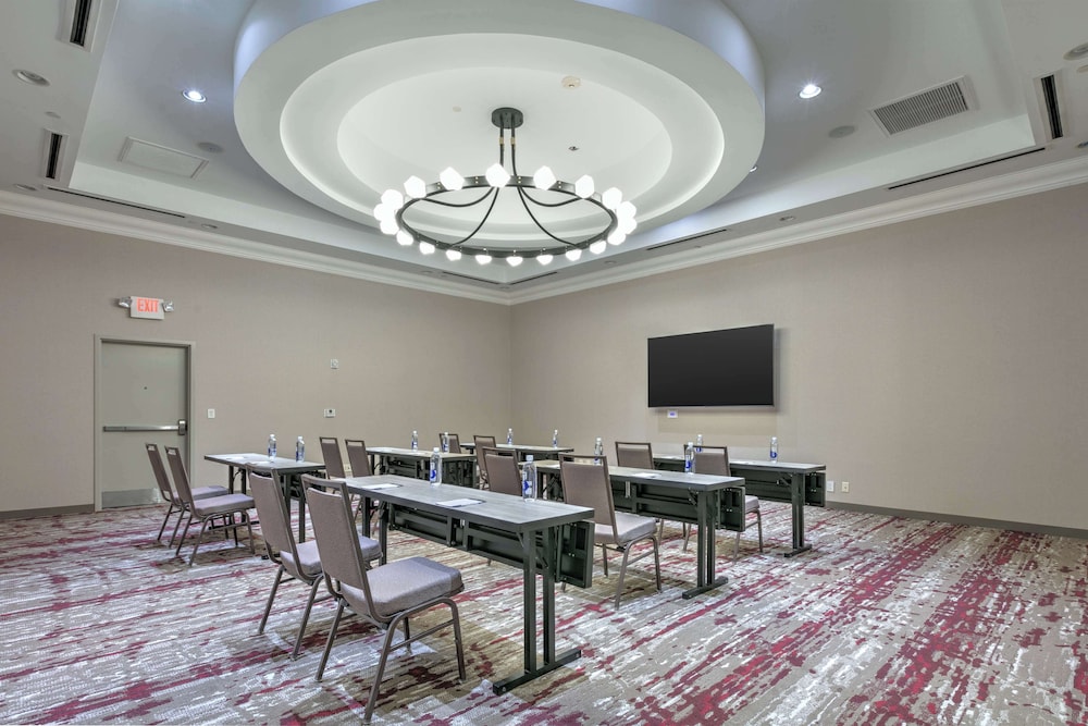 Hilton Garden Inn Dallas Arlington - photo 43