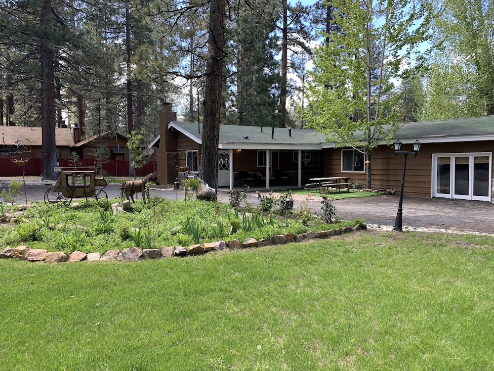 Grey Squirrel Resort - photo 163