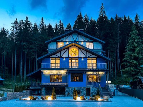 Blueberryhouse in Vorokhta, Ukraine