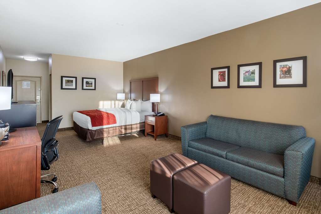 Comfort Inn & Suites Cedar Hill Duncanville - photo 24