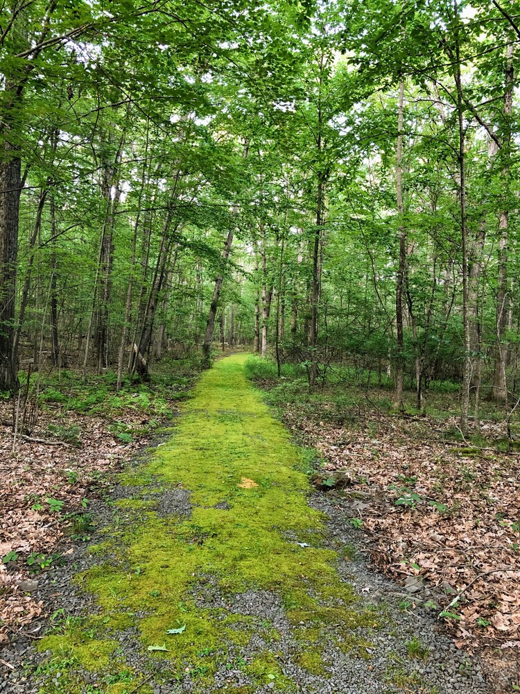 Catskill Mountains Resort - photo 78