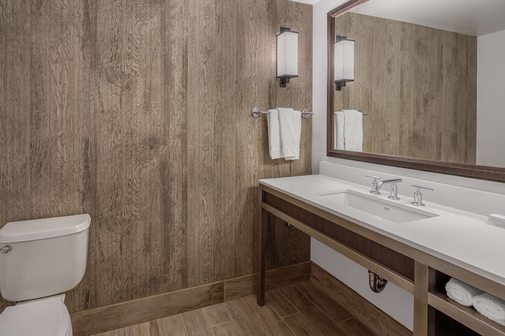 Hilton Garden Inn Scottsdale Old Town - photo 26