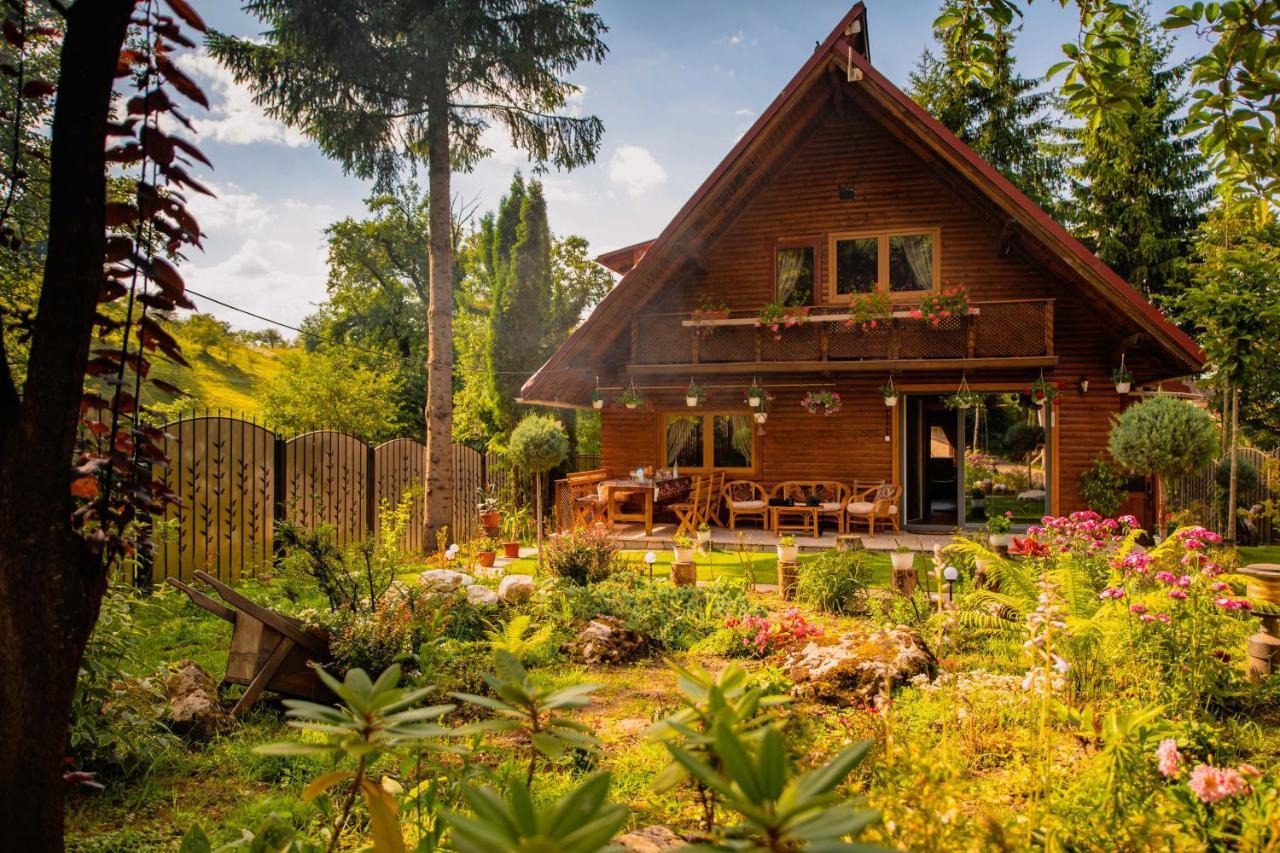 Cabana Mistic in Bran, Romania