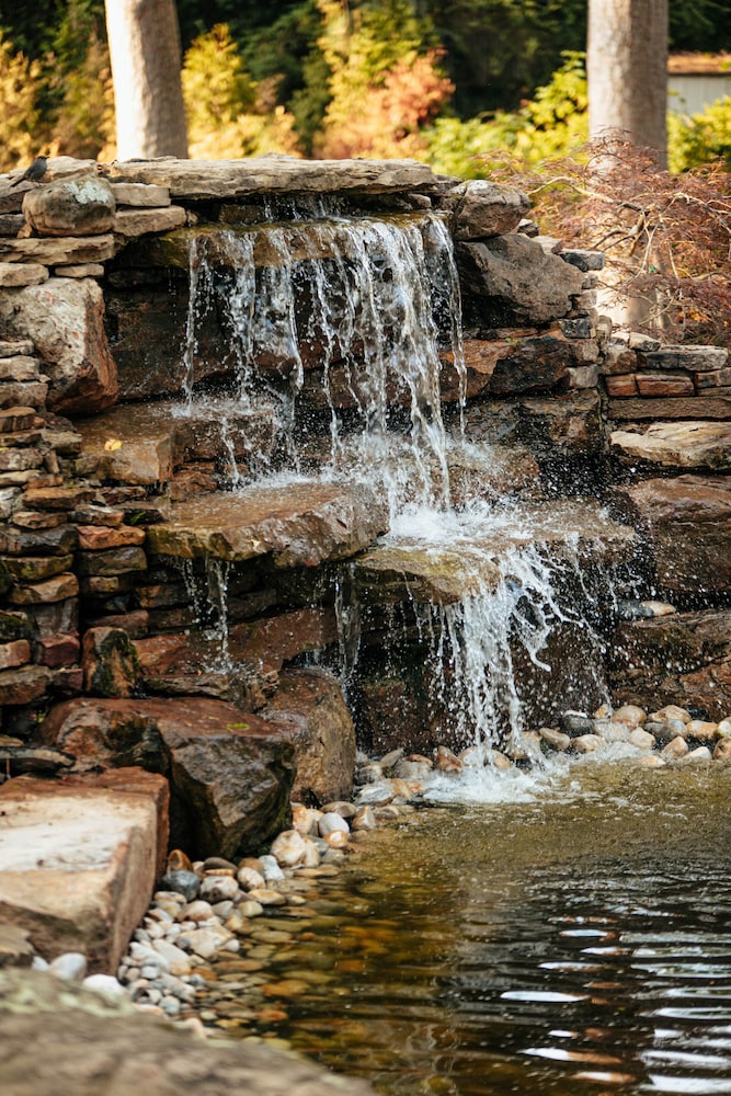 The Reserve at Hot Springs - photo 60