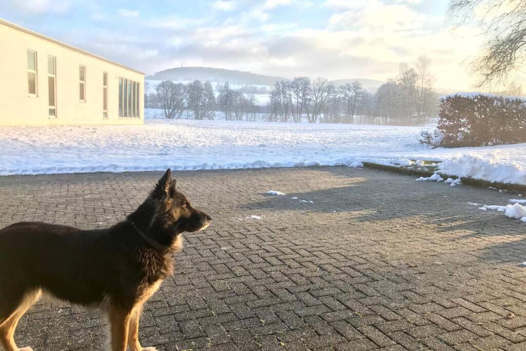 Ferienhaus Talblick — 4-Star Luxury Hotel in Alpenrod, Germany