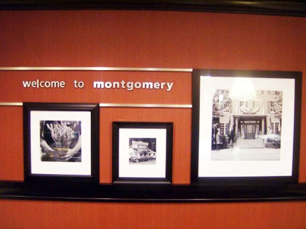 Hampton Inn Montgomery South Airport - photo 4