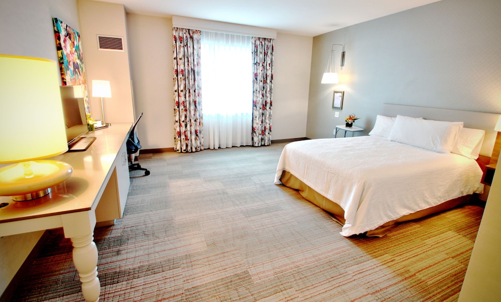 Hilton Garden Inn Miami Dolphin Mall - photo 15