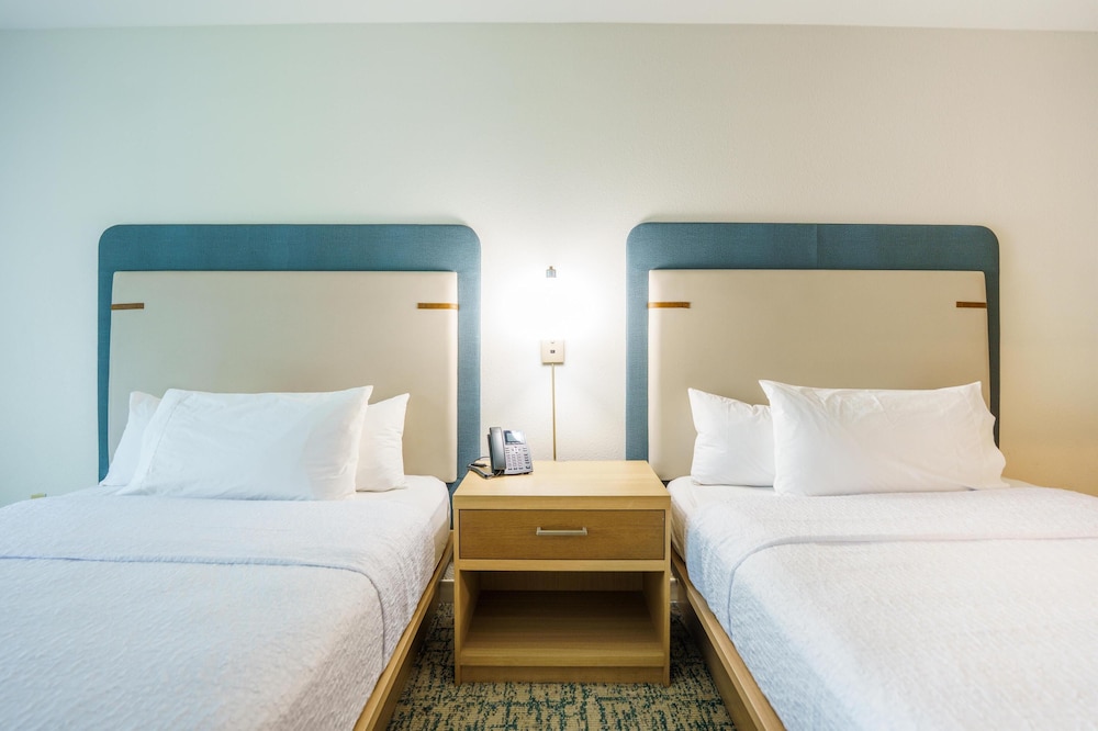 Homewood Suites Houston West Energy Corridor - photo 19