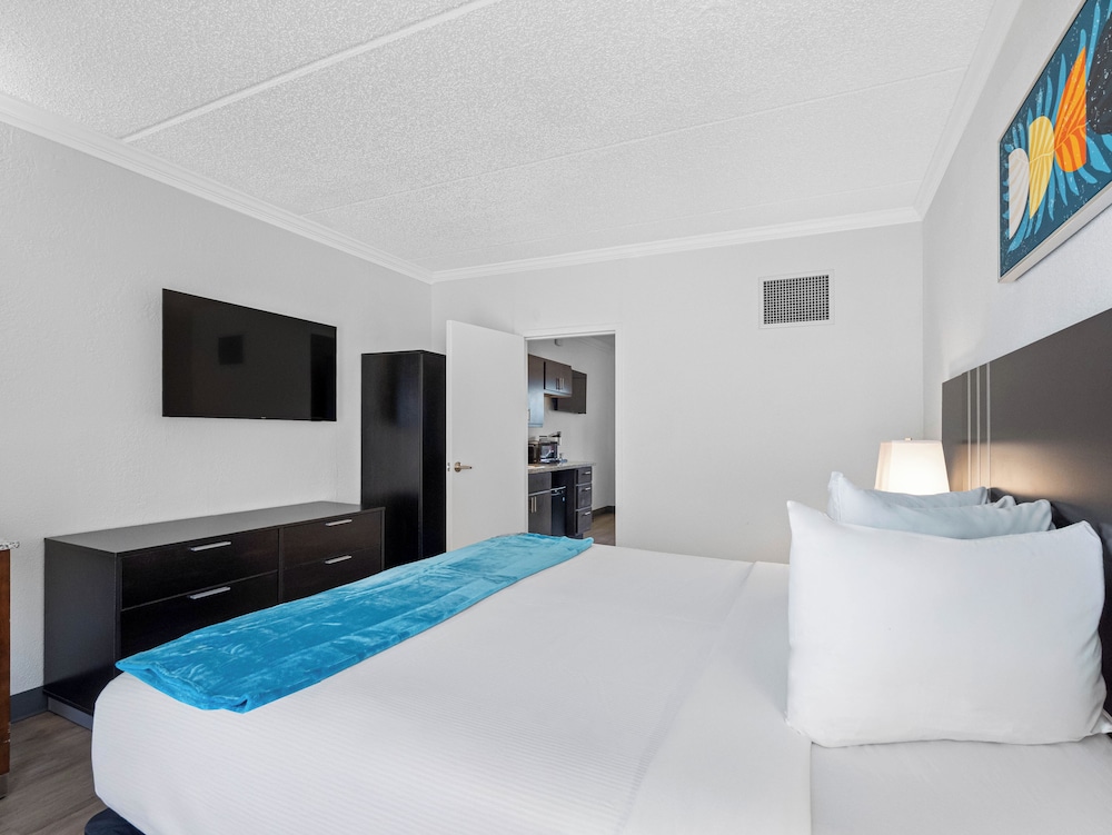 Karma Nest Tampa - photo 10