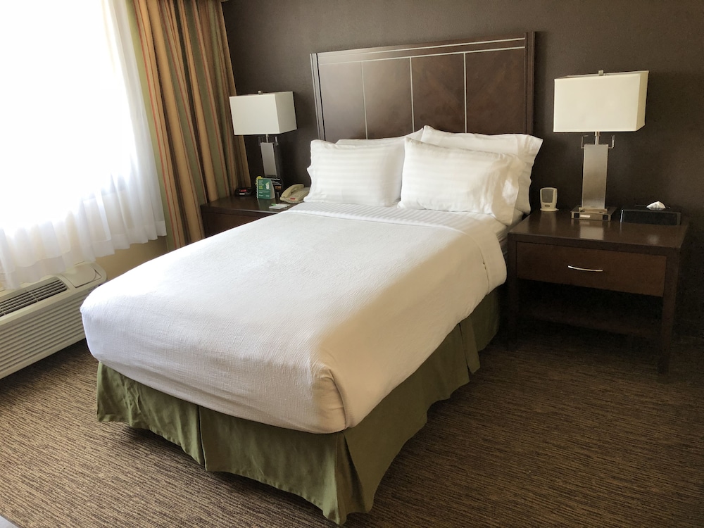 Holiday Inn Hotel & Suites Anaheim by IHG - photo 10