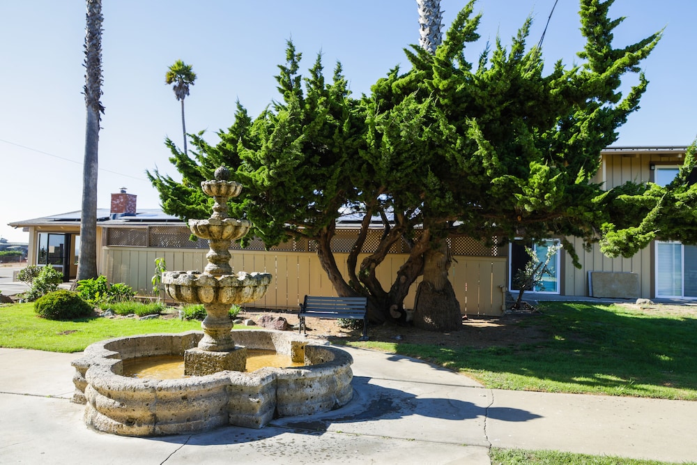 Silver Surf Motel - photo 114