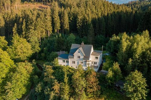 Villa Hoheneck — 4-Star Luxury Hotel in Wildemann, Germany