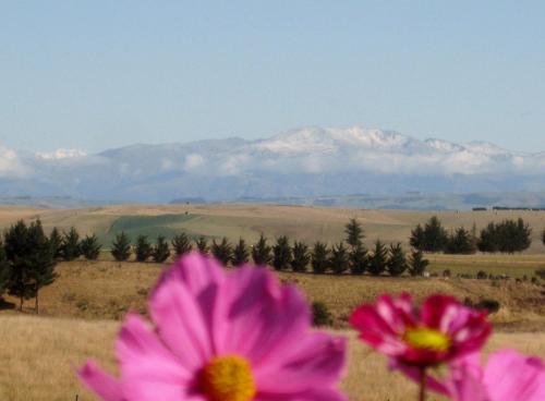 Solace Country House Bed And Breakfast — 4-Star Luxury Hotel in Timaru, New Zealand