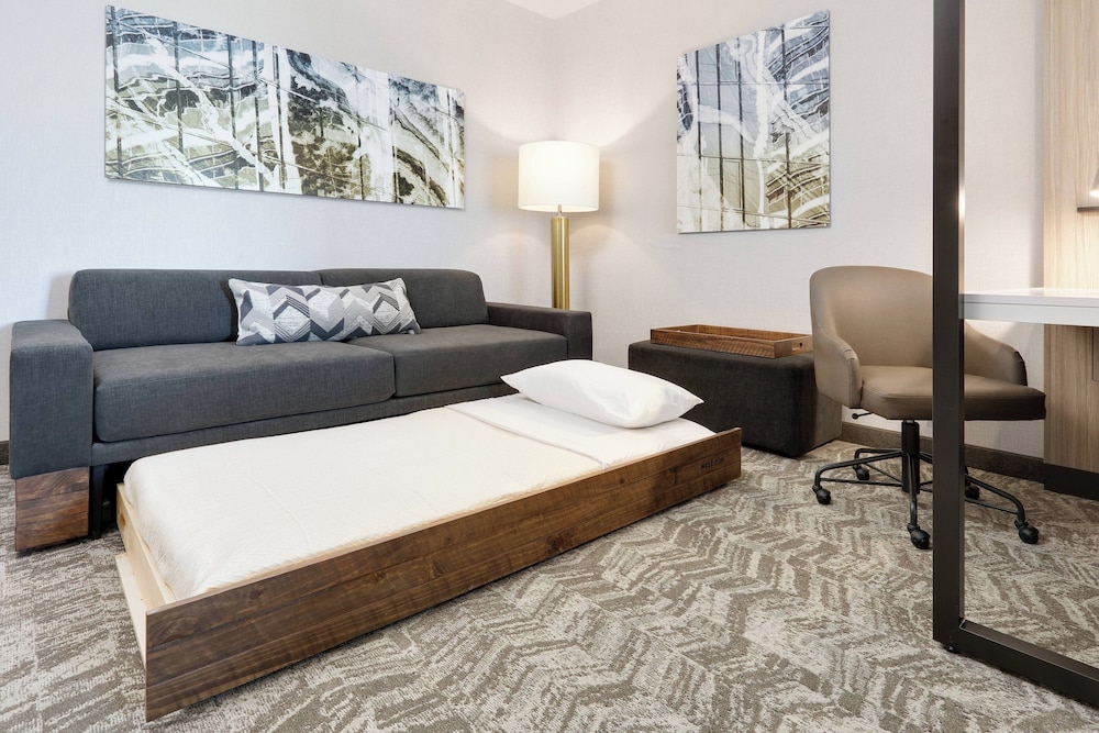 Springhill Suites Dallas Mansfield - photo 9