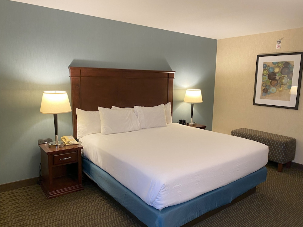 Hotel Indigo Detroit North Troy by IHG - photo 12